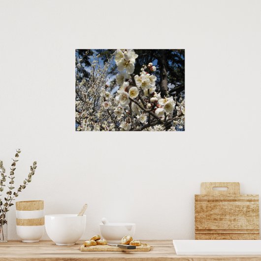 White Cherry Blossom / Sakura / サ ク ラ(桜) Poster (Keuken)