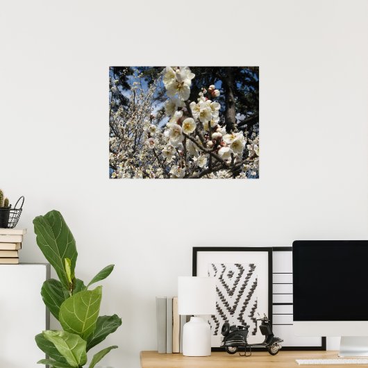 White Cherry Blossom / Sakura / サ ク ラ(桜) Poster (Thuiskantoor)