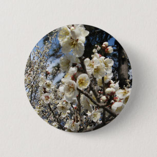 White Cherry Blossom / Sakura / サ ク ラ(桜) Ronde Button 5,7 Cm