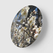 White Cherry Blossom / Sakura / サ ク ラ(桜) Ronde Klok (Hoek)