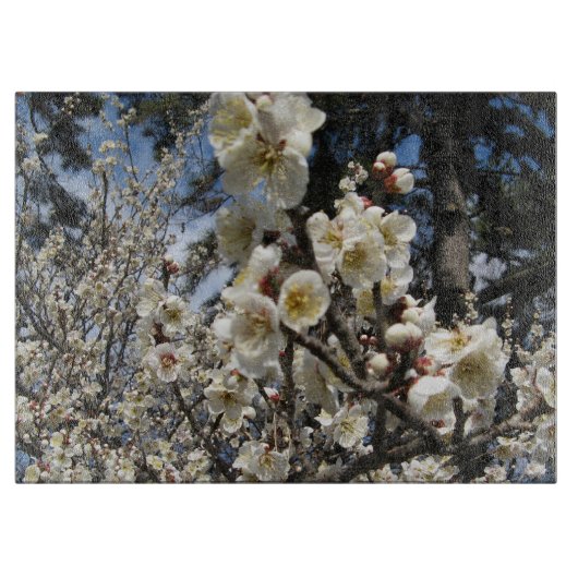 White Cherry Blossom / Sakura / サ ク ラ(桜) Snijplank (Voorkant)