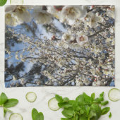 White Cherry Blossom / Sakura / サ ク ラ(桜) Theedoek (Gevouwen)