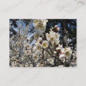 White Cherry Blossom / Sakura / サ ク ラ(桜) Visitekaartje (Achterkant)