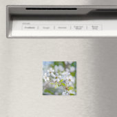 White Cherry Flower Magneet (Insitu (Vaatwasser))