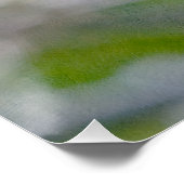 White Cherry Flower Poster (Hoek)