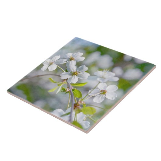 White Cherry Flower Tegeltje (Zijkant)
