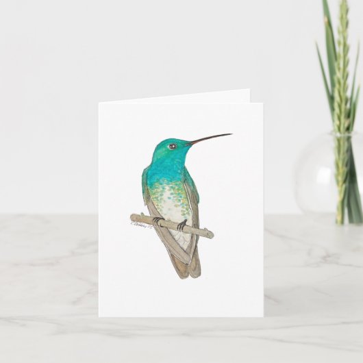 White-chested Emerald Hummingbird Bedankkaart (Voorkant)