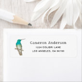 White-chested Emerald Hummingbird Etiket (Insitu)