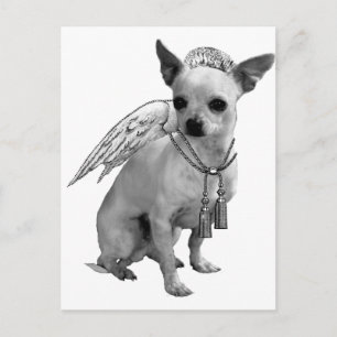 White Chihuahua Angel Wings Briefkaart