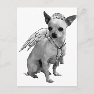 White Chihuahua Angel Wings Briefkaart