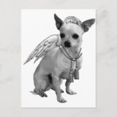 White Chihuahua Angel Wings Briefkaart (Voorkant)