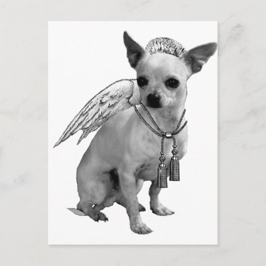 White Chihuahua Angel Wings Briefkaart (Voorkant)