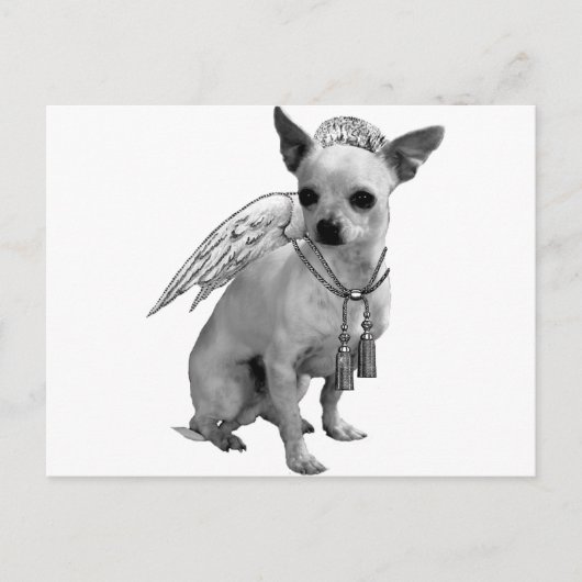 White Chihuahua Angel Wings Briefkaart (Voorkant)