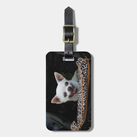 White Chihuahua Bagagelabel (Voorkant verticaal)