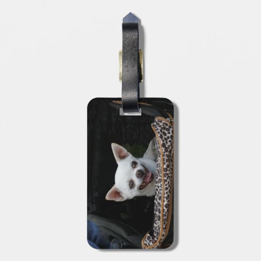 White Chihuahua Bagagelabel (Achterkant verticaal)