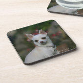 White Chihuahua Bier Onderzetter (Linkerzijde)