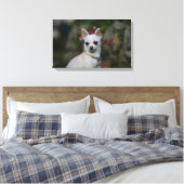 White Chihuahua Canvas Afdruk (Insitu (Slaapkamer))