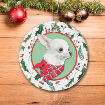 White Chihuahua Dog Holly Border