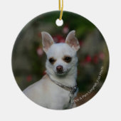 White Chihuahua Keramisch Ornament (Voorkant)