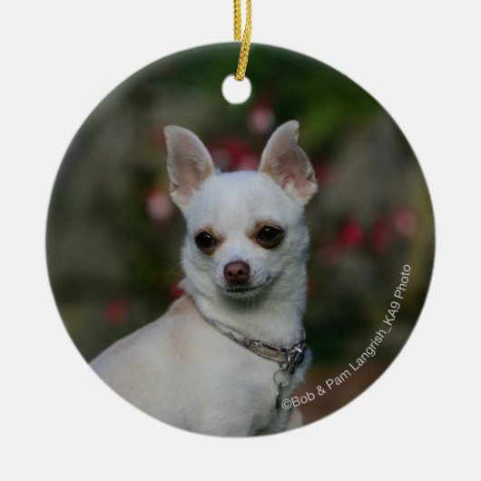 White Chihuahua Keramisch Ornament (Voorkant)