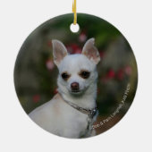 White Chihuahua Keramisch Ornament (Achterkant)