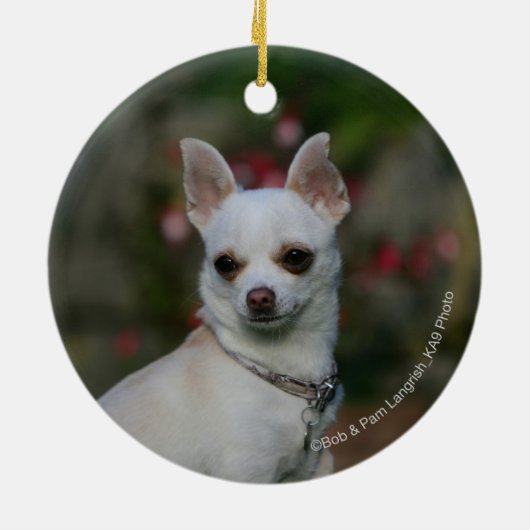 White Chihuahua Keramisch Ornament (Achterkant)