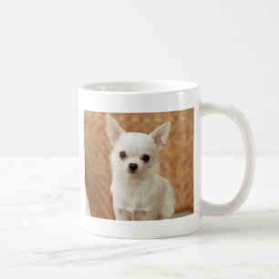 White Chihuahua Koffiemok