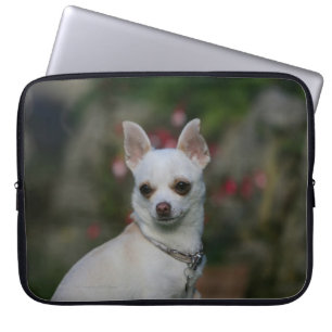 White Chihuahua Laptop Sleeve