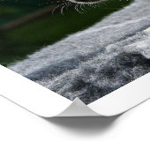 White Chihuahua Lying in Sun Poster (Hoek)