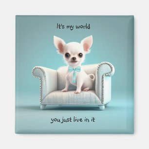 White Chihuahua: Mijn wereld Magneet