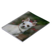 White Chihuahua Notitieboek (Linkerzijde)