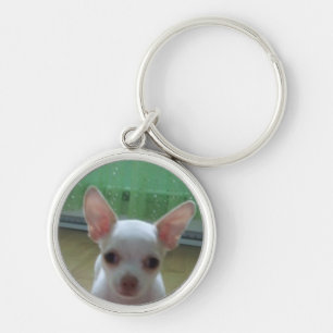 White Chihuahua Pup Sleutelhanger