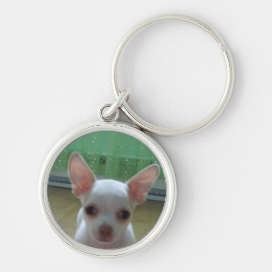 White Chihuahua Pup Sleutelhanger (Voorkant)