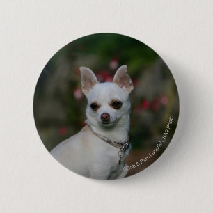 White Chihuahua Ronde Button 5,7 Cm