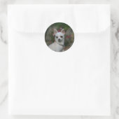 White Chihuahua Ronde Sticker (Tas)