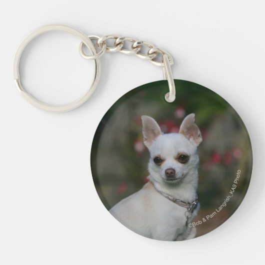 White Chihuahua Sleutelhanger (Voorkant)