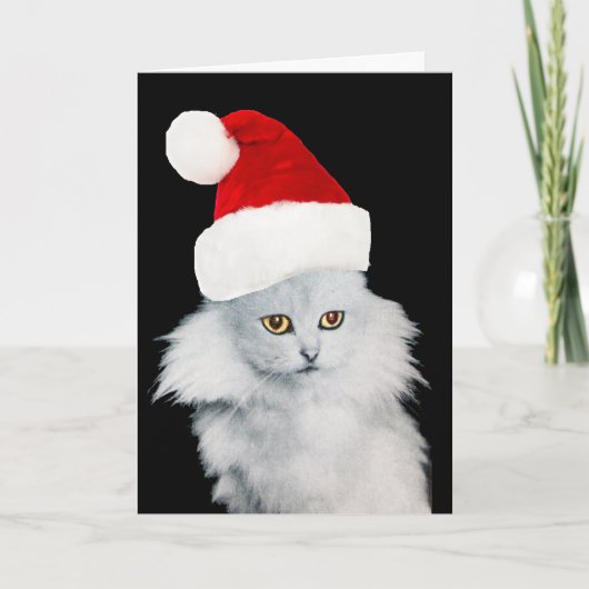 WHITE CHRISTMAS CAT MET SANTA CLAUS PET FEESTDAGEN KAART (Voorkant)