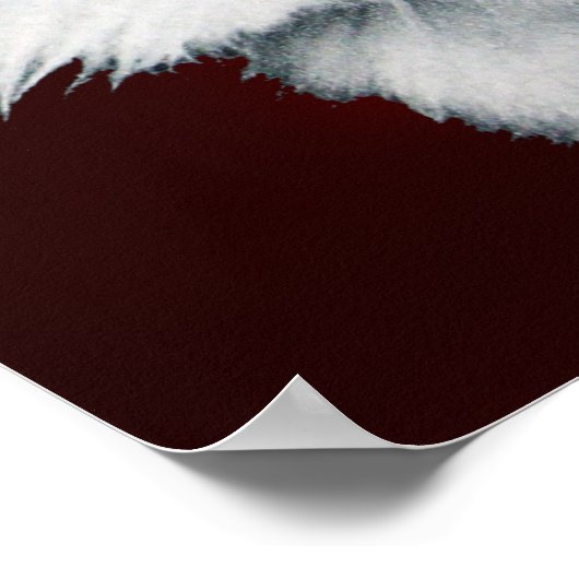 WHITE CHRISTMAS CAT MET SANTA CLAUS PET, Red Ruby Poster (Hoek)