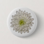 White Chrysanthemum Button (Voorkant)