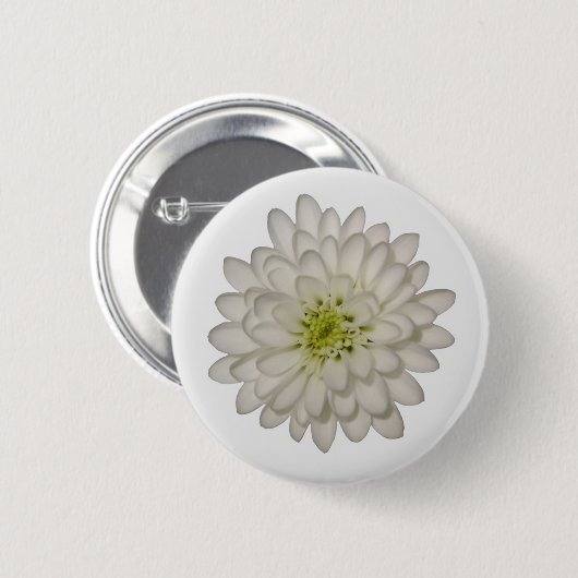 White Chrysanthemum Button (Voorkant /achterkant)