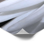 White Chrysanthemum Canvas Print (Hoek)