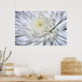 White Chrysanthemum Canvas Print (Keuken)