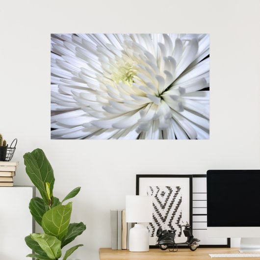 White Chrysanthemum Canvas Print (Thuiskantoor)