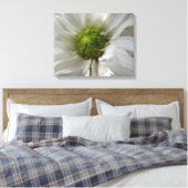 White Chrysanthemum Canvas Print (Insitu (Slaapkamer))