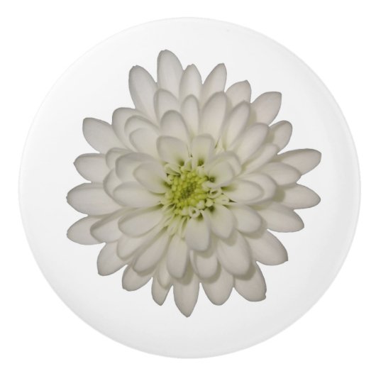 White Chrysanthemum Ceramic Knob Keramische Knop (Voorkant)