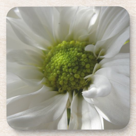 White Chrysanthemum Cork Onderzetter (Voorkant)