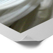 White Chrysanthemum Flower Mums Flowers Foto Poster (Hoek)