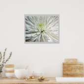 White Chrysanthemum Flower Mums Flowers Foto Poster (Keuken)