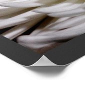 White Chrysanthemum Flower Mums Flowers Foto Poster (Hoek)