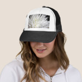 White Chrysanthemum Flower Mums Flowers Foto Trucker Pet (In situ)
